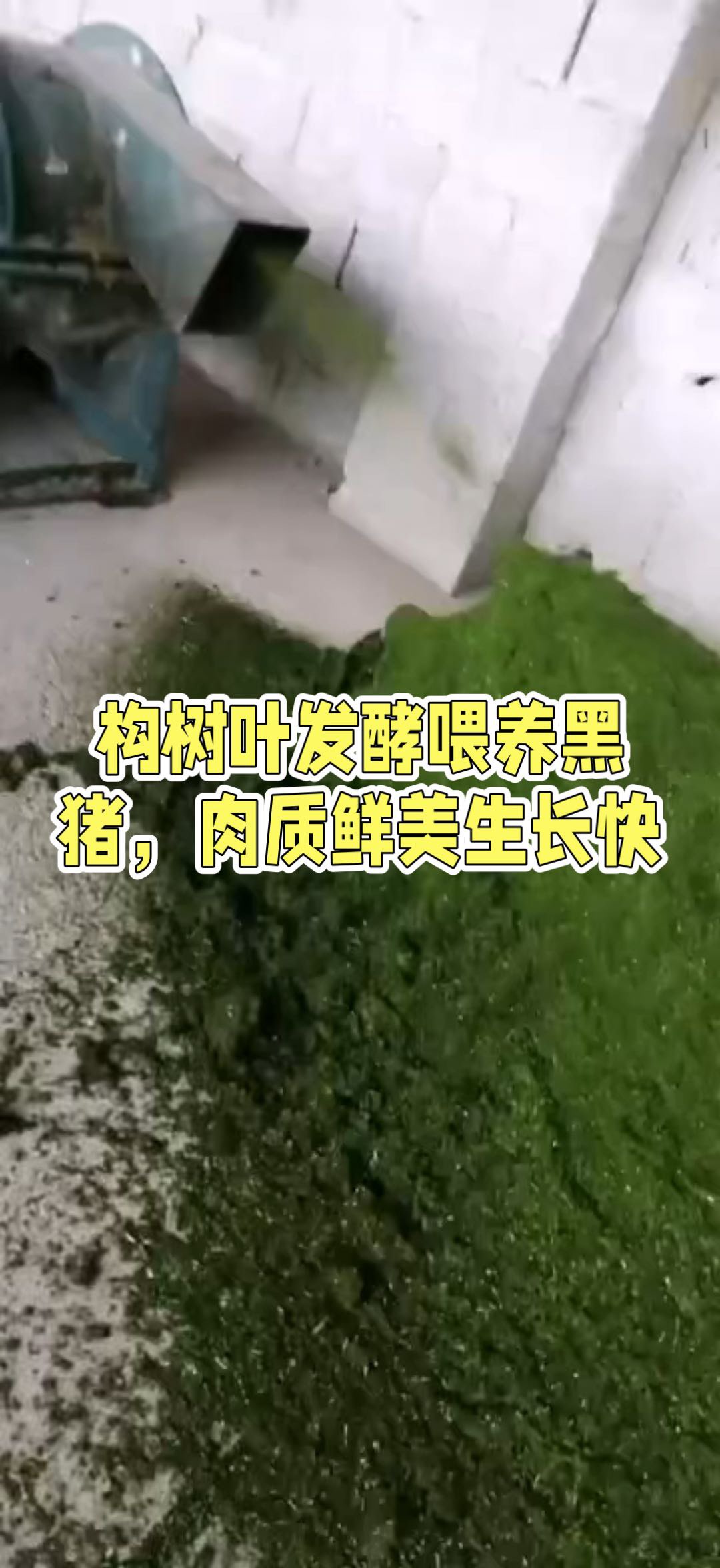 QQ圖片20260713143819.jpg