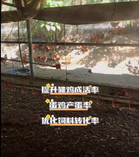 截圖20260714100247.png