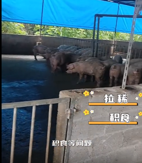截圖20260716110047.png