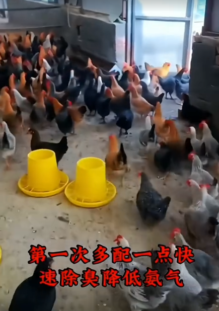 截圖20260718101155.png