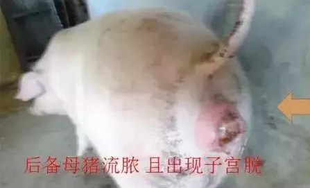 截圖20260720104343.png