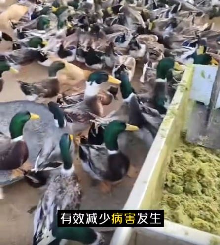 截圖20260721094824.png