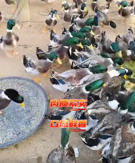 截圖20260721094944.png
