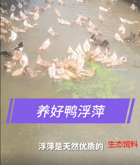 截圖20260723093757.png