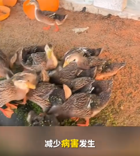 截圖20260723094010.png