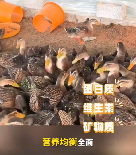 截圖20260723093944.png