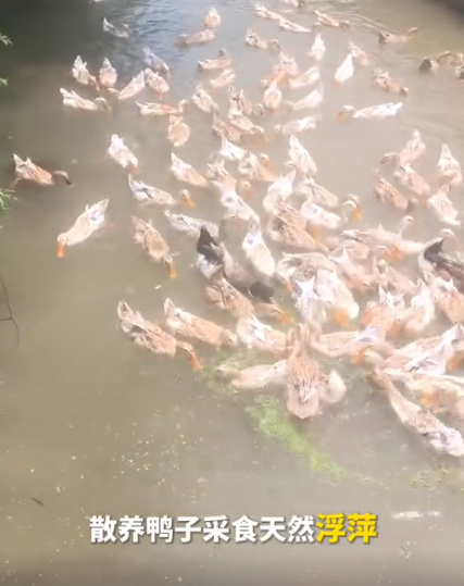截圖20260723094307.png