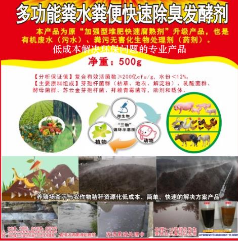 17750968303896238.jpg