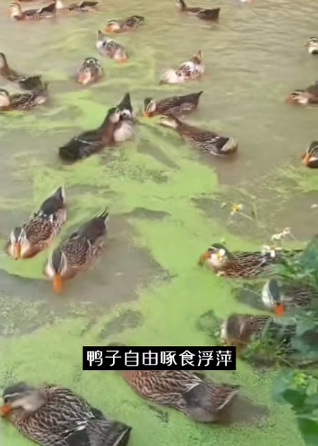 截圖20260709091849.png
