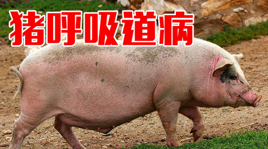 截圖20260728112144.png