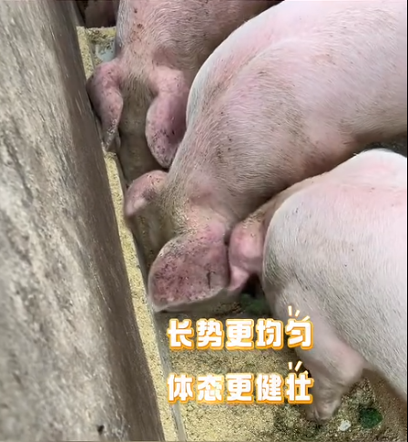 截圖20260730092535.png