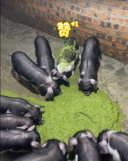 截圖20260730092845.png