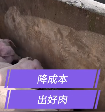 截圖20260730093008.png