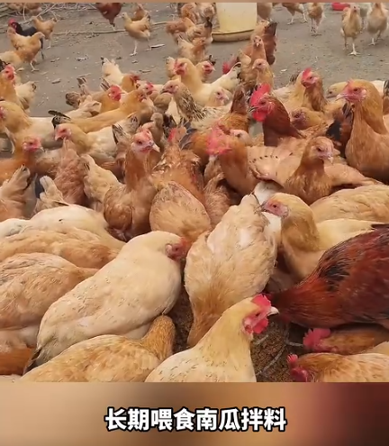 截圖20260801093402.png