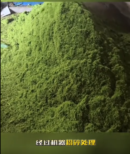 截圖20260806110933.png