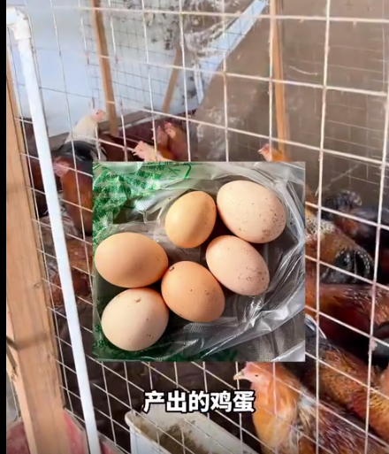 截圖20260807105924.png
